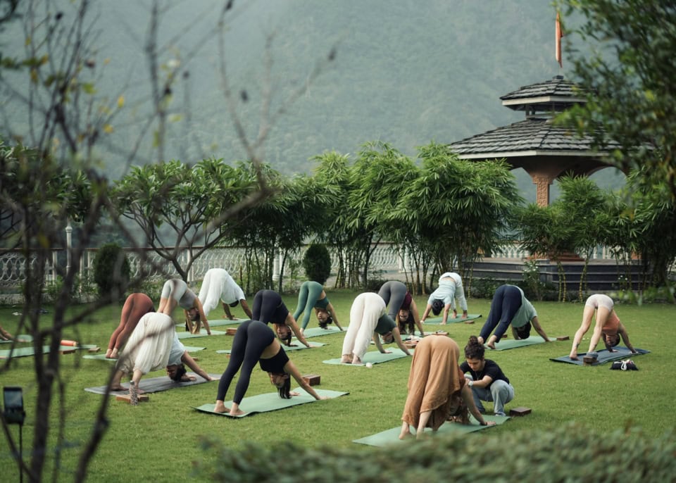 pexels abhayaranya 36993247